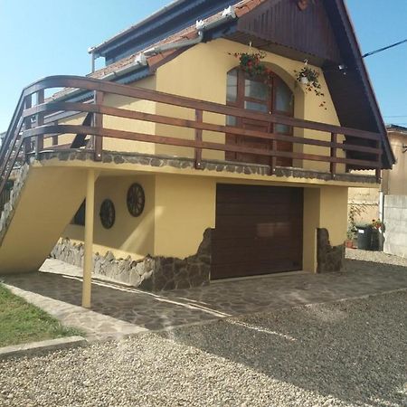 Casa Vlasea Albesti Sighisoara Panzió Kültér fotó