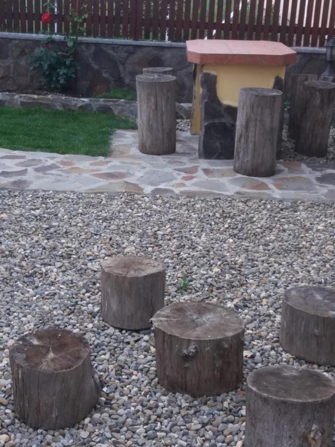 Casa Vlasea Albesti Sighisoara Panzió Kültér fotó