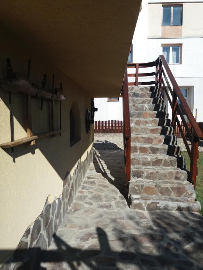 Casa Vlasea Albesti Sighisoara Panzió Kültér fotó